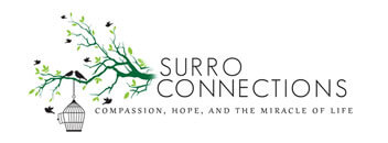 Surro Connections
